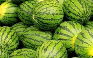 吃瓜网官网免费观看 吃瓜网官网,免费观看,畅享娱乐盛宴